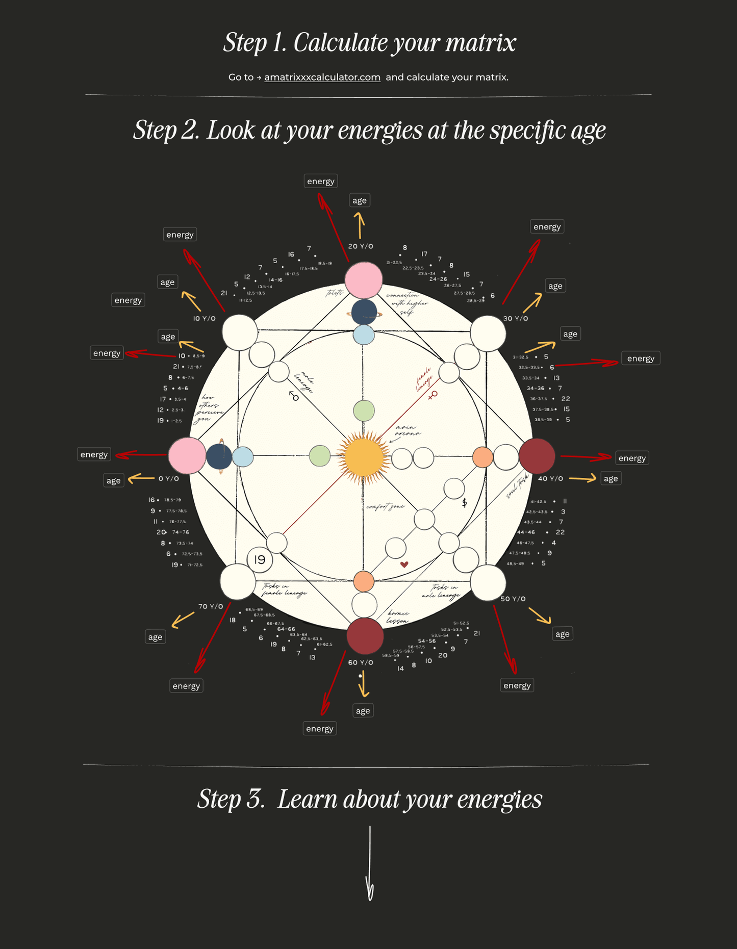 Forecast by years guide 🔮